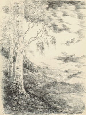 Рисунок С.П. Титова «Две березки на опушке»   О/Ф 2698