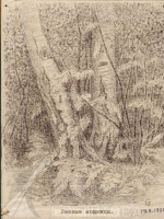 Рисунок С.П.Титова "Лесные модницы О/Ф 121 