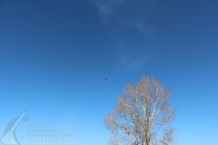 7dbca7587664cb2d5671e187bf856d07